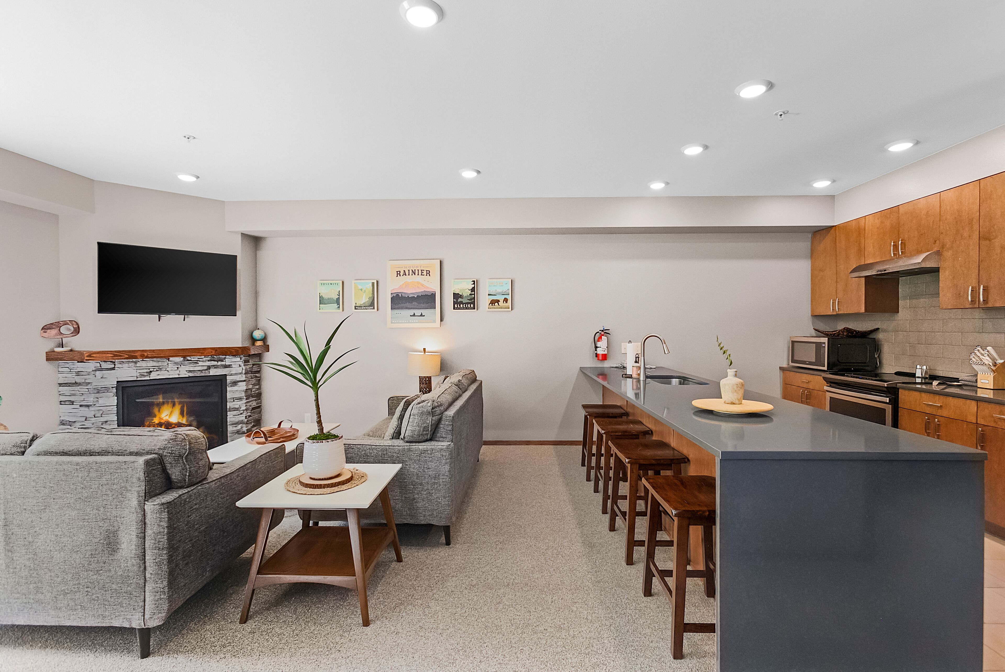 Apartamento clásico | Zona de estar | Una televisión de pantalla plana