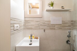 Shower, hair dryer, bidet, towels