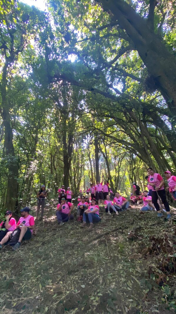 Un groupe de personnes se trouve dans une zone boisée, assises et debout, à l’abri sous la canopée des arbres.