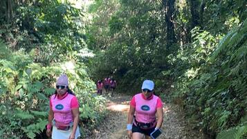 A group of people hiking on a dirt path surrounded by dense greenery.