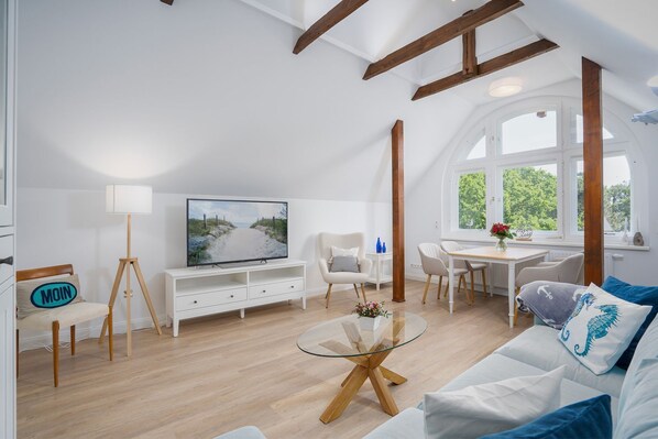 Fernseher, Stereoanlage