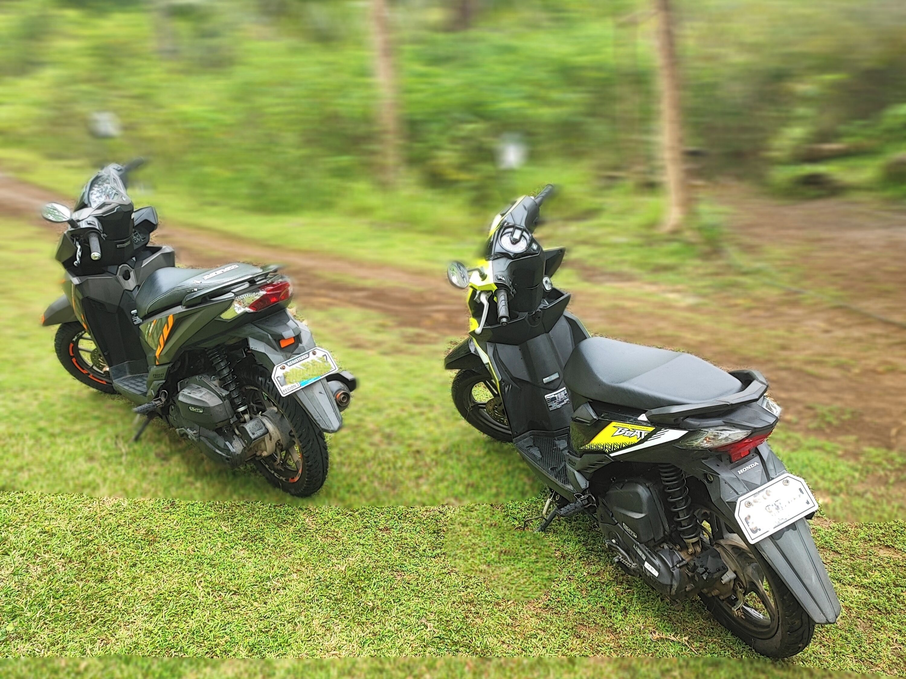 Dos motocicletas estacionadas en un área cubierta de césped, con un fondo desenfocado de vegetación.