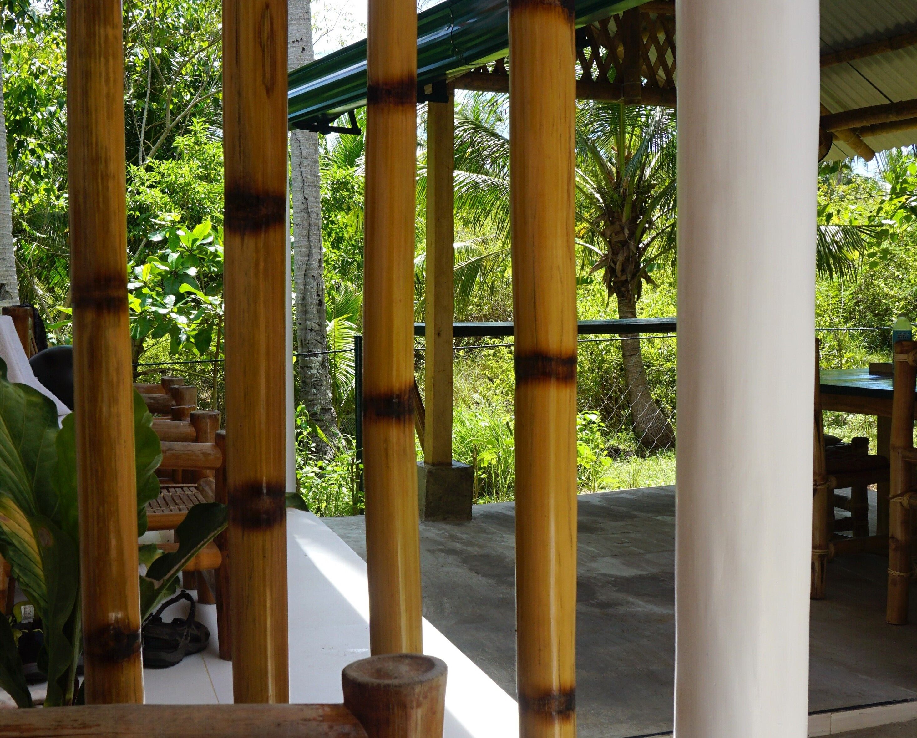 A covered outdoor area with bamboo columns, a concrete floor, and lush greenery in the background.