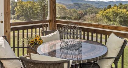 ~Mountain Views~Great location~Near DuPont and Pisgah Forest