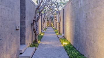 Entrada de la propiedad