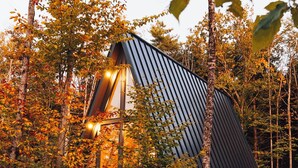 Un bâtiment moderne aux lignes épurées, niché au cœur d’une forêt, et auquel on accède par un sentier en bois.