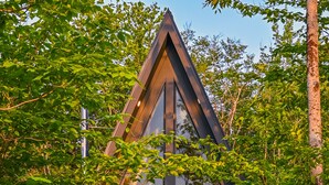 Une maison moderne avec un toit triangulaire, entourée d’une végétation luxuriante.