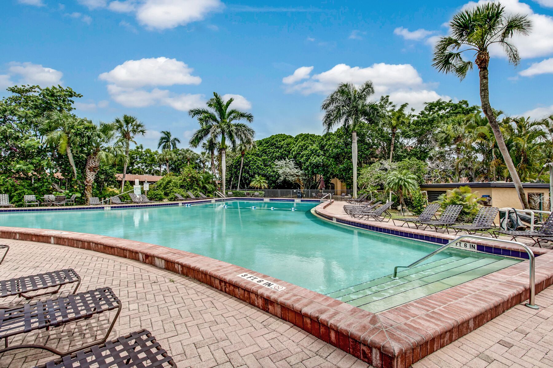 A swimming pool with lounge chairs and palm trees.