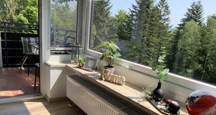Apartment 'Fuchsenstein 44' with Balcony and Wi-Fi