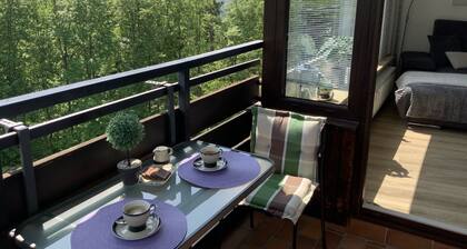 Ferienwohnung 'Fuchsenstein 44' mit Balkon und WLAN