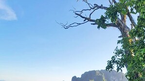 A table set for a meal with various dishes, overlooking a marina with boats and a mountainous backdrop. - Anyavee Chom By The Sea (Krabi)