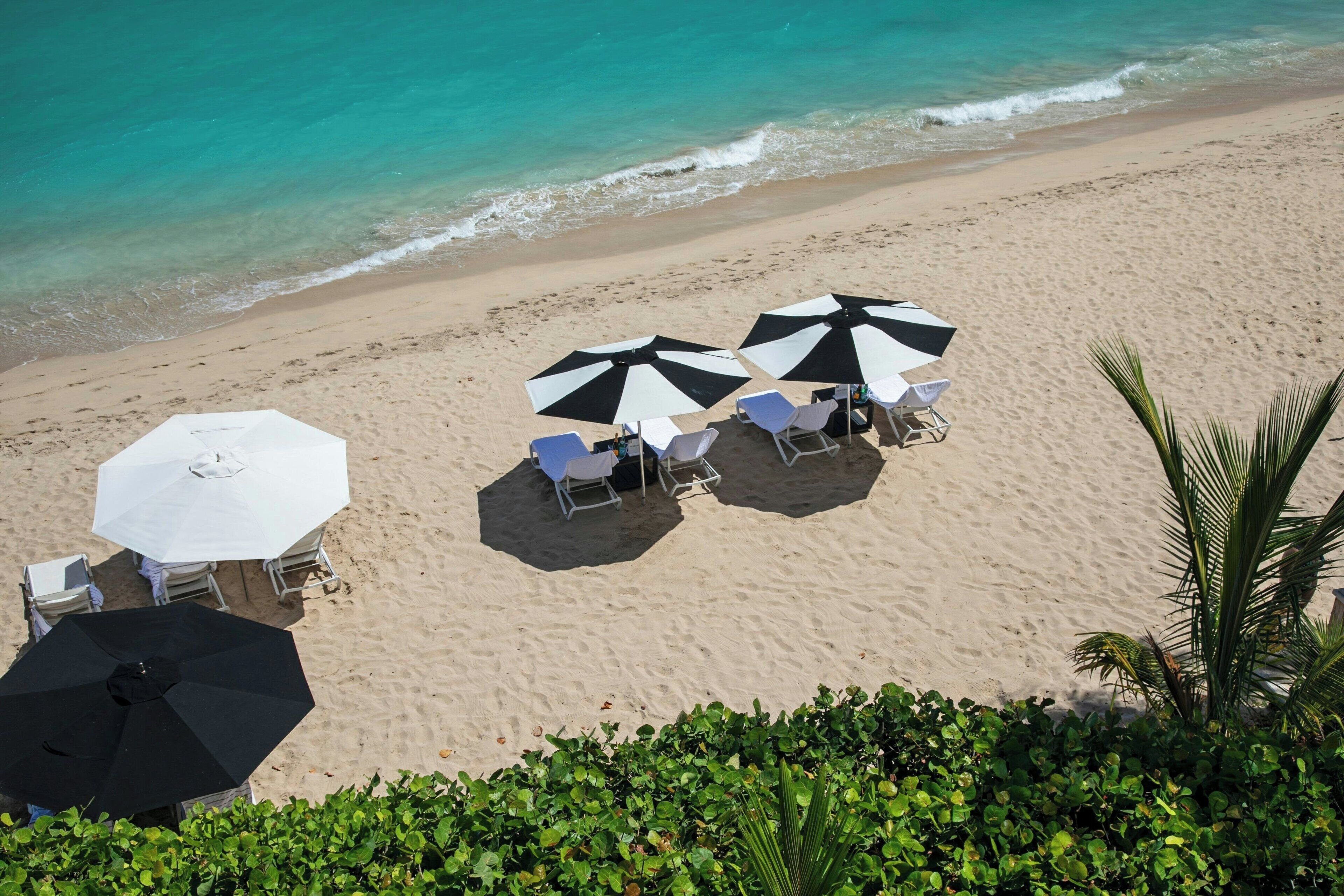 A beach with white and black umbrellas, white lounge chairs, and a sandy beach.