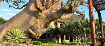 38m2 Turtle Suite in a 560 m2 Villa, Indian Ocean View