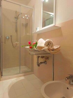 Shower, hair dryer