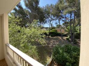 Property grounds - Beautiful wooded view in a quiet residence, beach on foot (ST MANDRIER SUR MER)