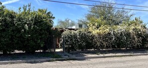 Property grounds - Cozy Lil’ Home in Central Tucson: Whole Home Saltless Water System (Tucson)