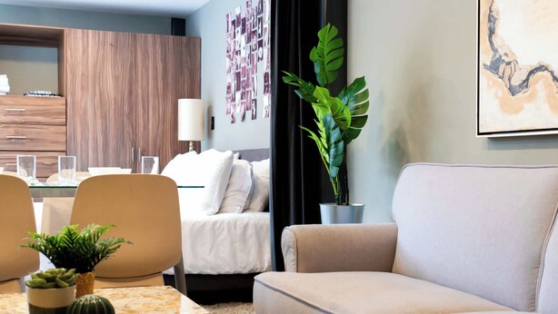 Une chambre d’hôtel moderne comprenant un lit, un canapé, une table à manger avec des chaises, une plante en pot et un mur décoré d’un collage de photos.