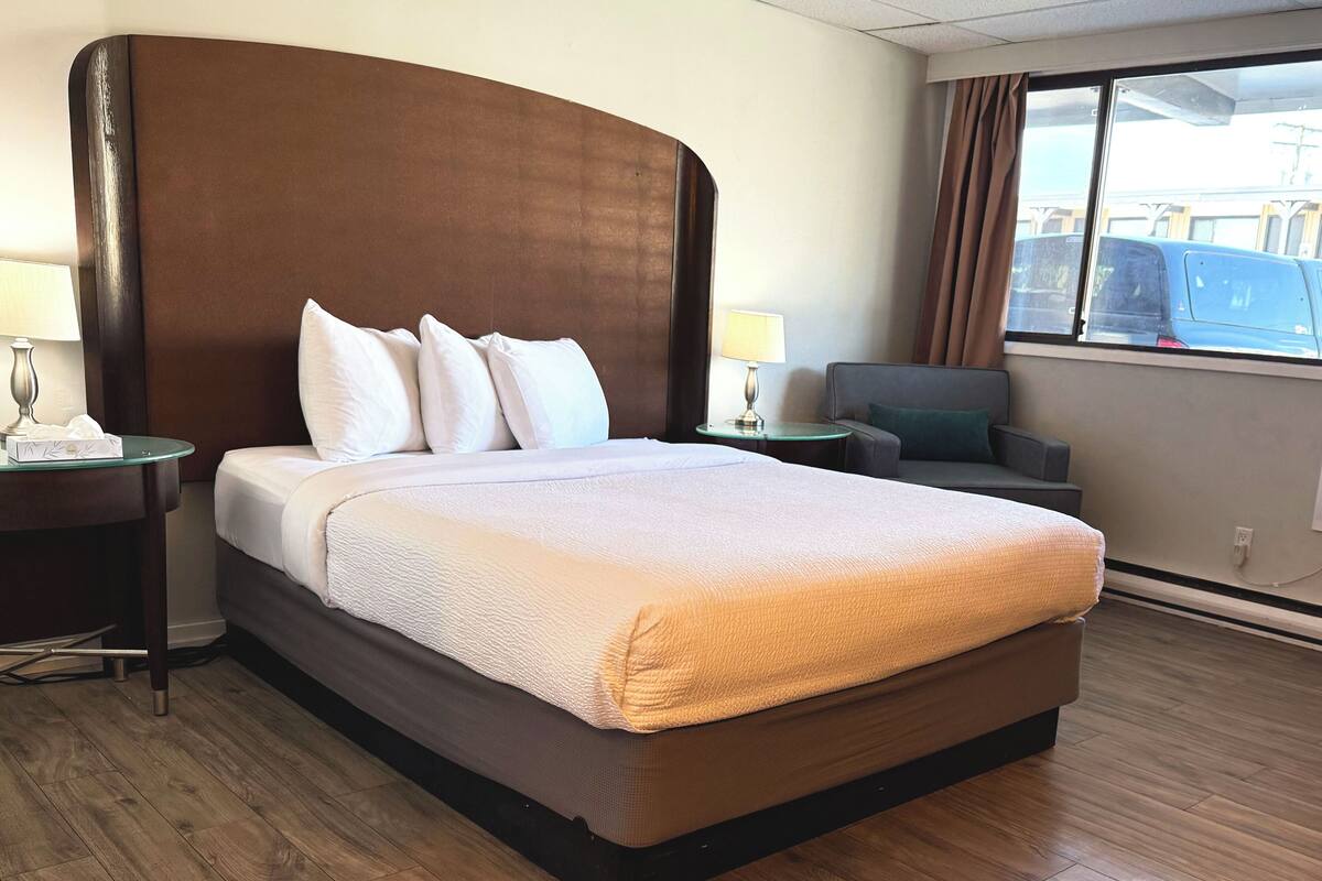 A hotel room with a large bed, a nightstand, a lamp, a chair, and a window with a view of parked cars.