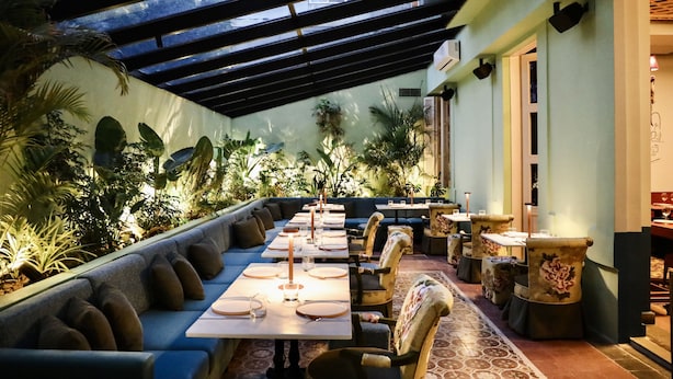 An indoor dining area with a long table set for a meal, surrounded by cushioned seating and plants.
