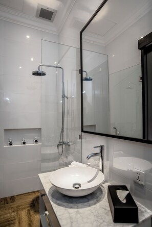 Ducha, cabezal de ducha tipo lluvia, secador de pelo