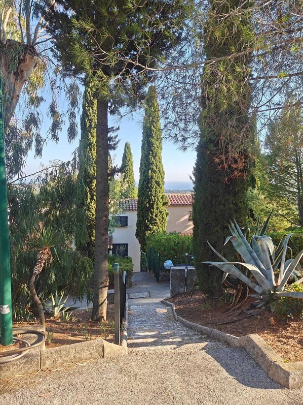 Un camino conduce a un edificio rodeado de altos cipreses y una palmera.
