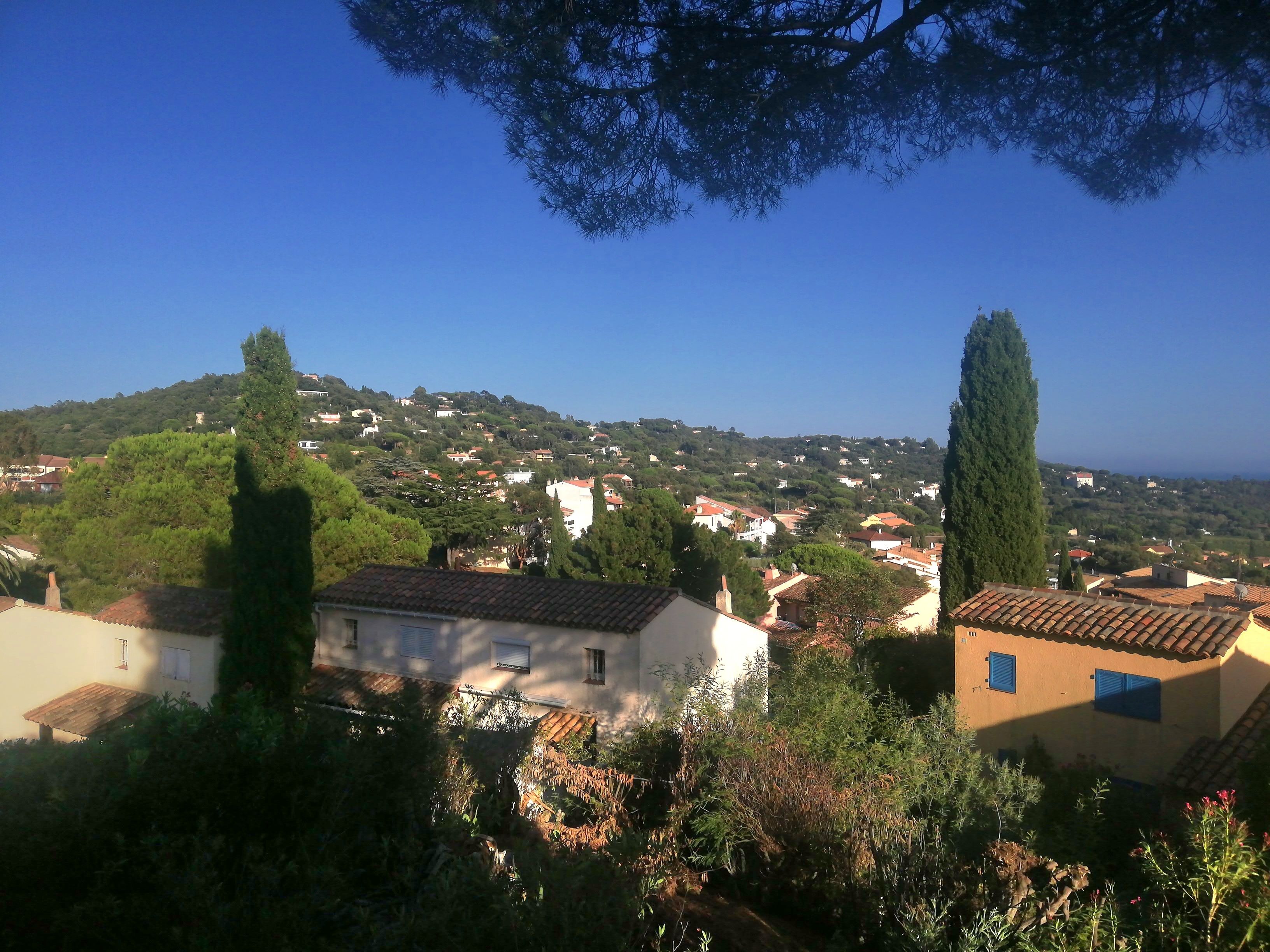 A residential area with houses on a hillside, surrounded by trees and vegetation.