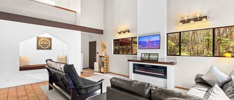 Televisión, chimenea, videojuegos, libros