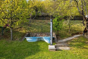 Family Chalet, Multiple Bedrooms, Mountainside (Rudnica Hill Lodge) | Pool - Rudnica Hill Lodge (Podcetrtek)