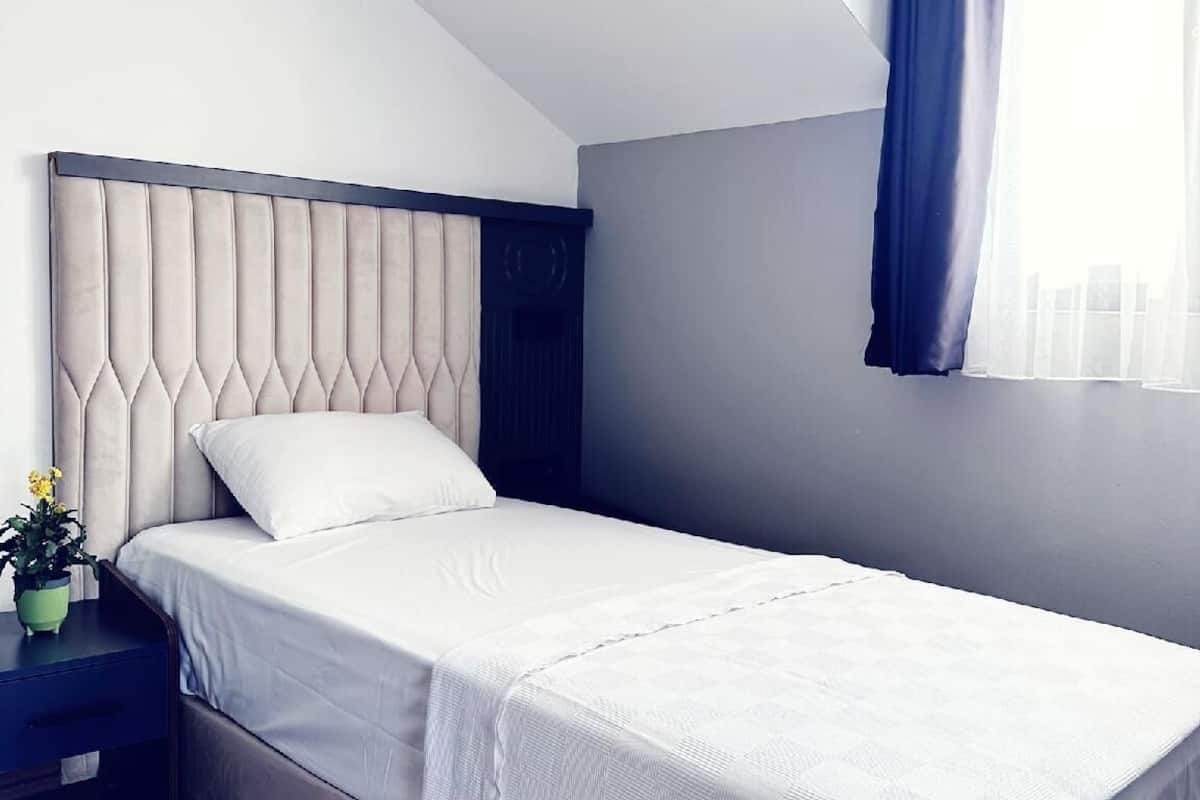 Economy Single Room | 1 bedroom, premium bedding, down comforters, minibar