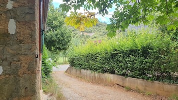 Ărea da propriedade