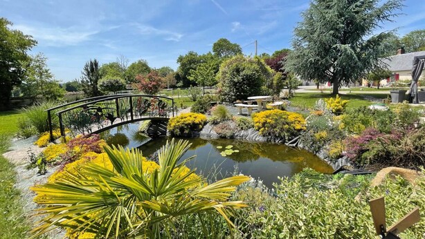 A garden with a pond, a bridge, and various plants.
