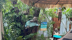 A statue of a baby in a natural setting with a sign that reads "Smile! the sea feel the breeze hear the ocean be at ease." - Akuli By the Sea - Unit 1 - FNHolidays (Iluka)