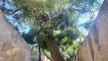 Overnatningsstedets område