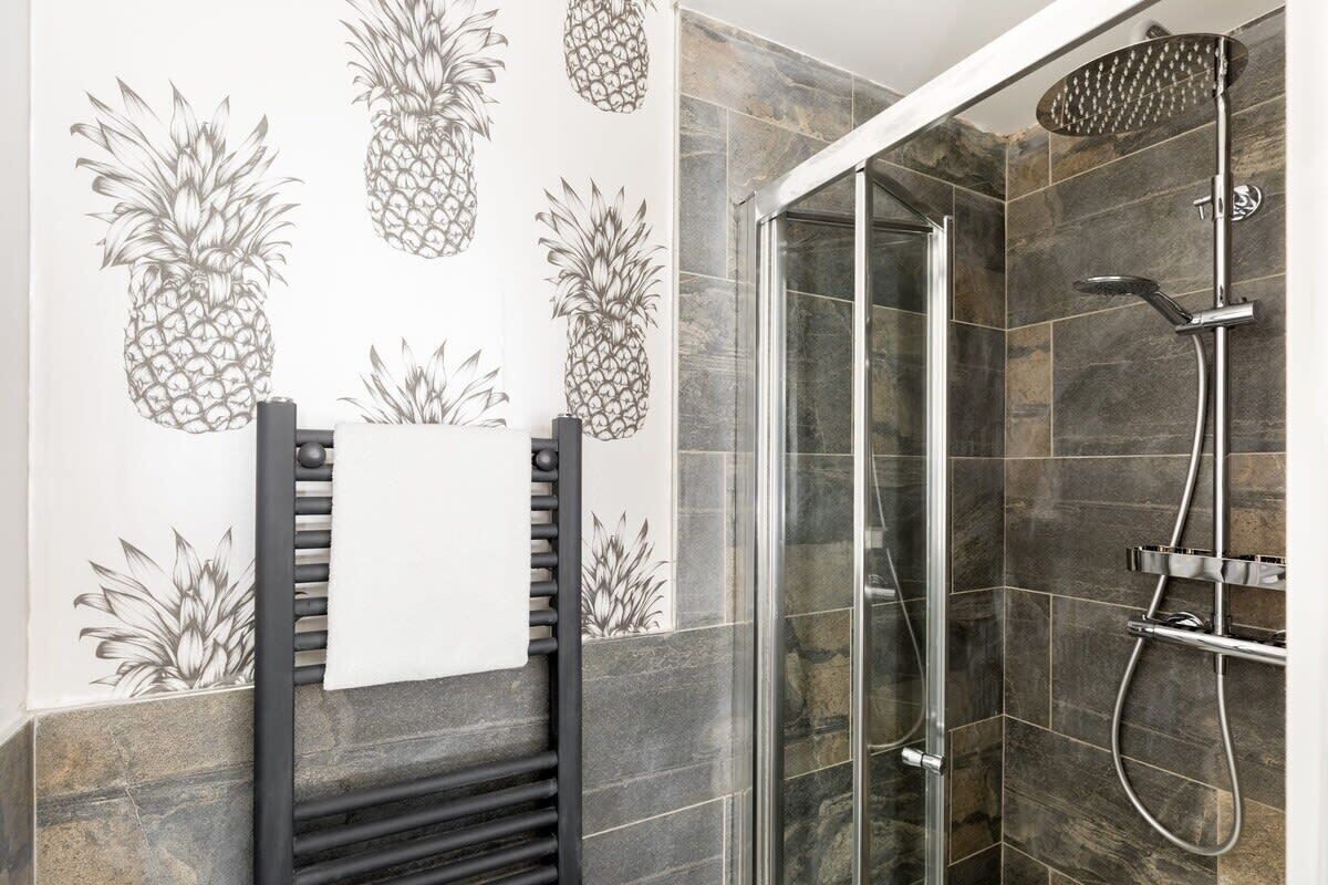 Shower, hair dryer, towels