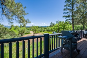 Property grounds - Cabin Azul - Chama Valley Views (Chama)