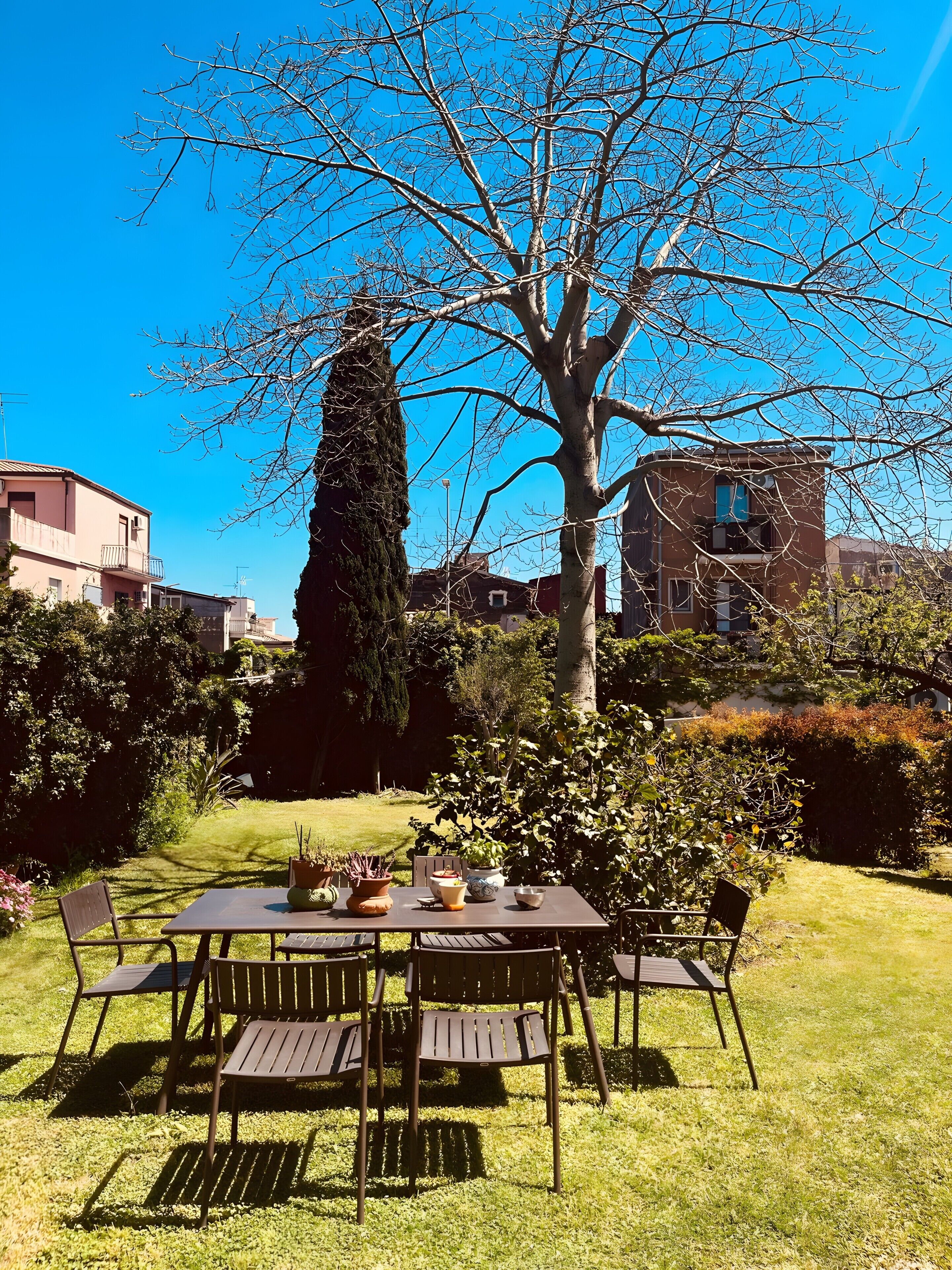 Een terras met een tafel en stoelen, omgeven door groen en een grote boom.