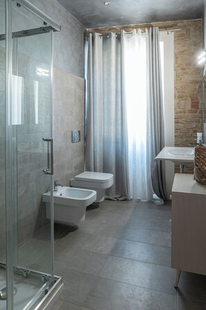 Shower, hair dryer, bidet, towels