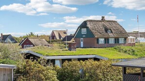 A traditional thatched-roof house with a green exterior and a white door, surrounded by other similar houses and a grassy landscape. - Awesome apartment in Fanø with WiFi (Fanø)