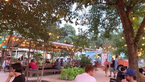 An outdoor seating area with tables and chairs under trees, surrounded by greenery and string lights. - `Saloma Place` Pet-Friendly! Large yard! Work Space! (Austin)