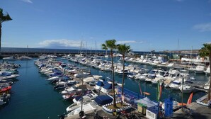 A marina with numerous boats docked, surrounded by palm trees and a clear blue sky.
