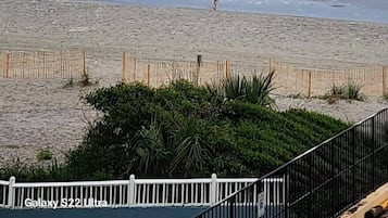 Playa en los alrededores