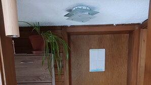 Una puerta de madera con un picaporte metálico, una pequeña planta en maceta y un respiradero en el techo.