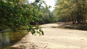 A riverbank with trees and a sandy area.