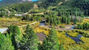 Un paysage montagneux avec de vastes forêts, une rivière sinueuse et une route.
