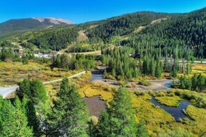 Un paysage montagneux avec de vastes forêts, une rivière sinueuse et une route.