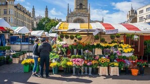 A flower market with a variety of colorful flowers displayed in pots and baskets. - Modern Studio - just off Mill Rd nr train station (Cambridge)