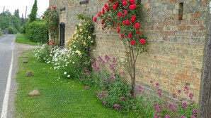 Un bâtiment en briques doté d’un jardin où l’on peut admirer différentes variétés de fleurs et qui possède une petite porte.