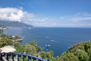 الإطلالة من المنشأة