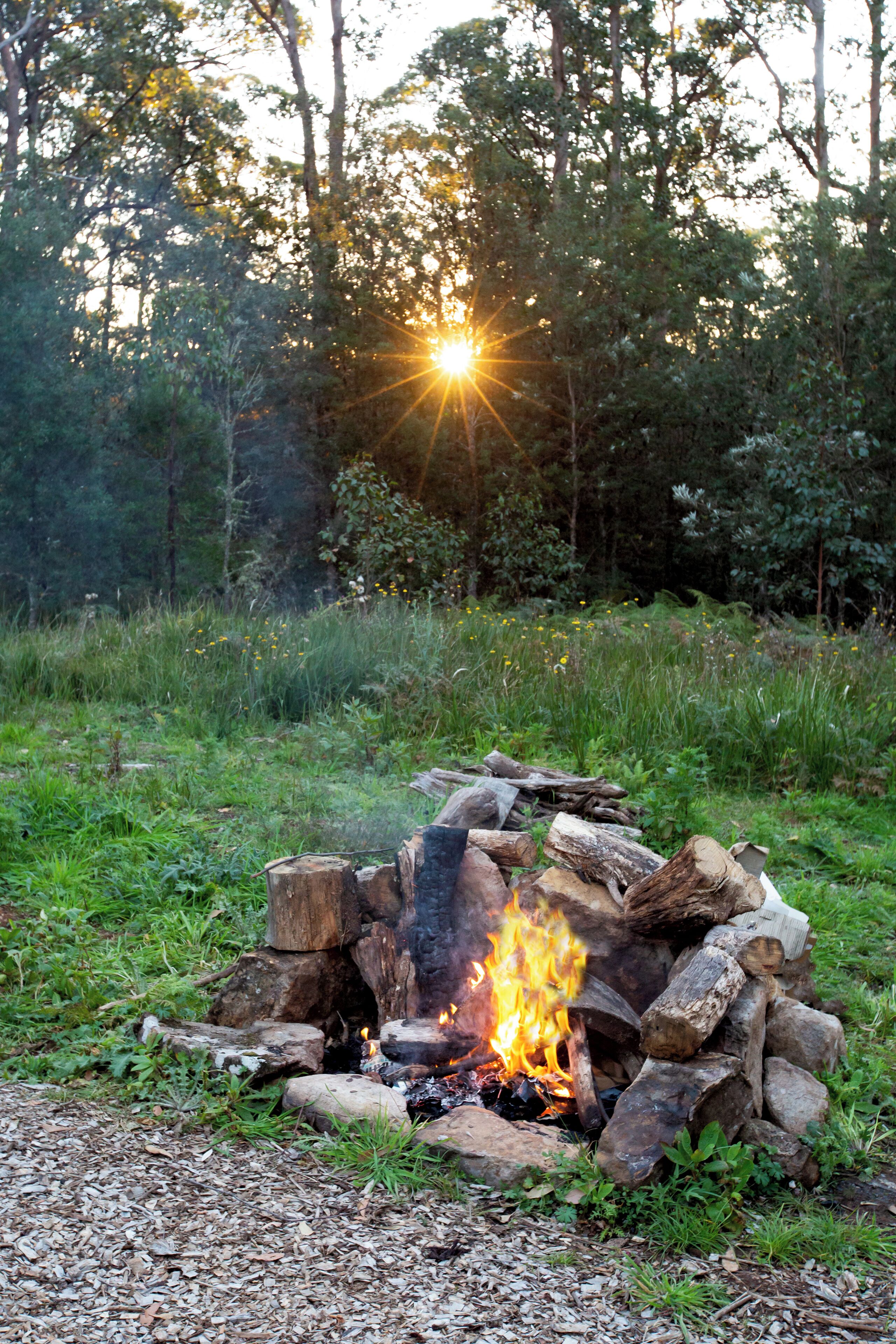 A campfire in a forest with trees and sunlight in the background.