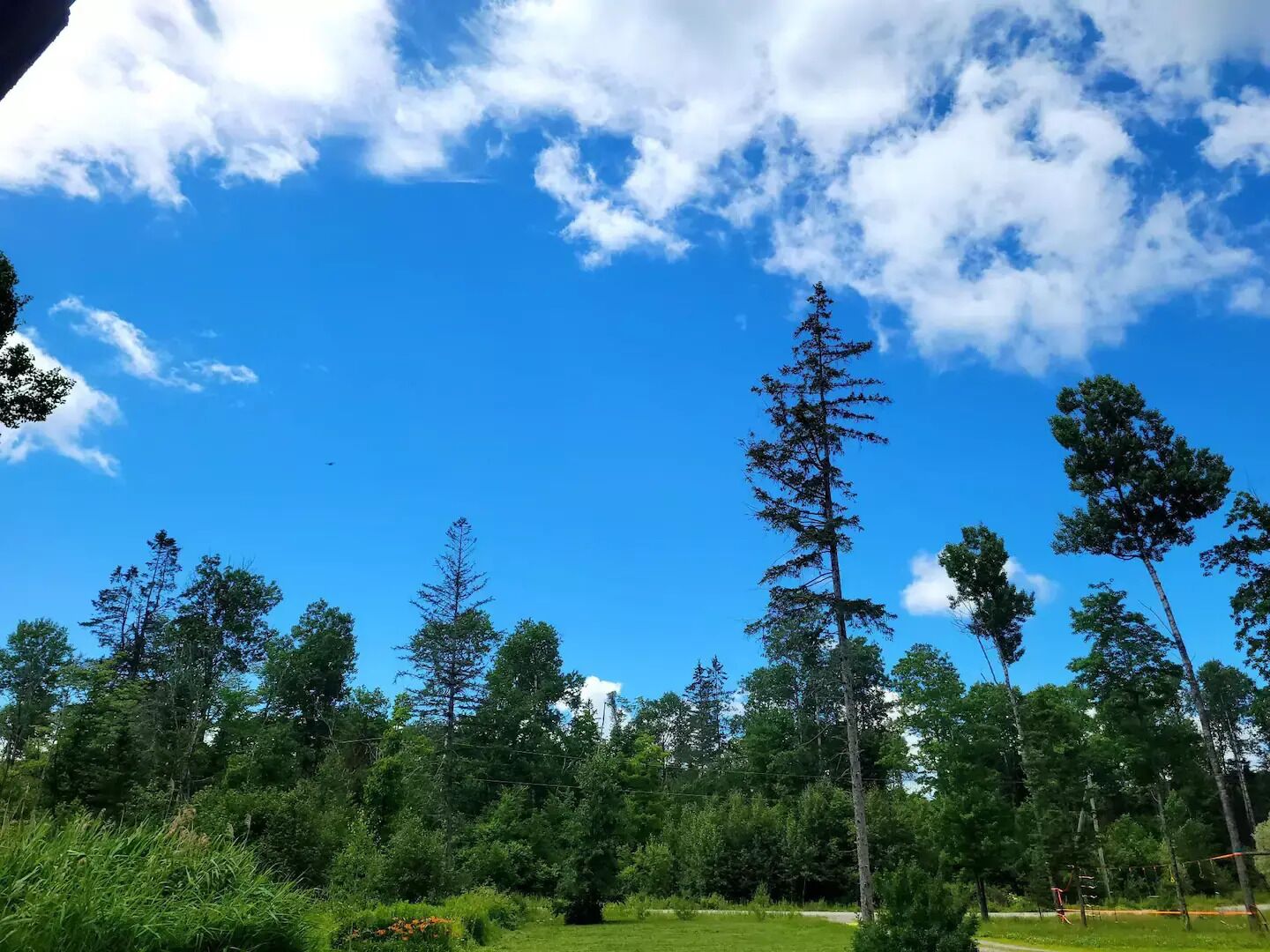 Un ciel d’un bleu limpide, parsemé de quelques nuages, entouré d’une variété d’arbres et de verdure.